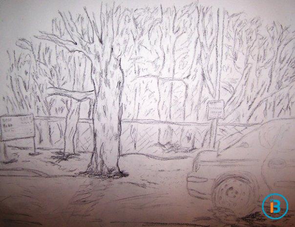 Looking through the woods and enjoying the beauty of nature.